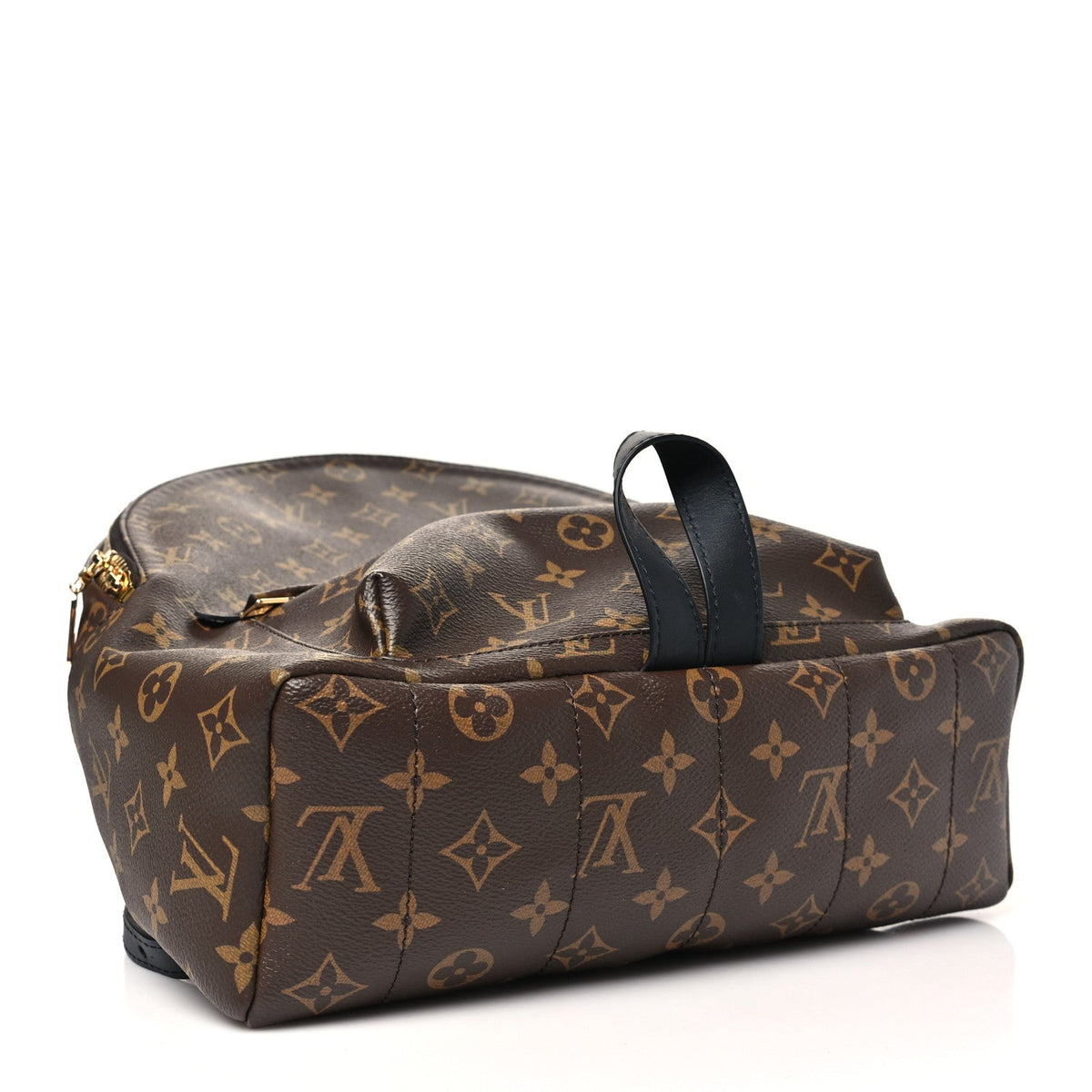 Monogram Palm Springs Backpack MM