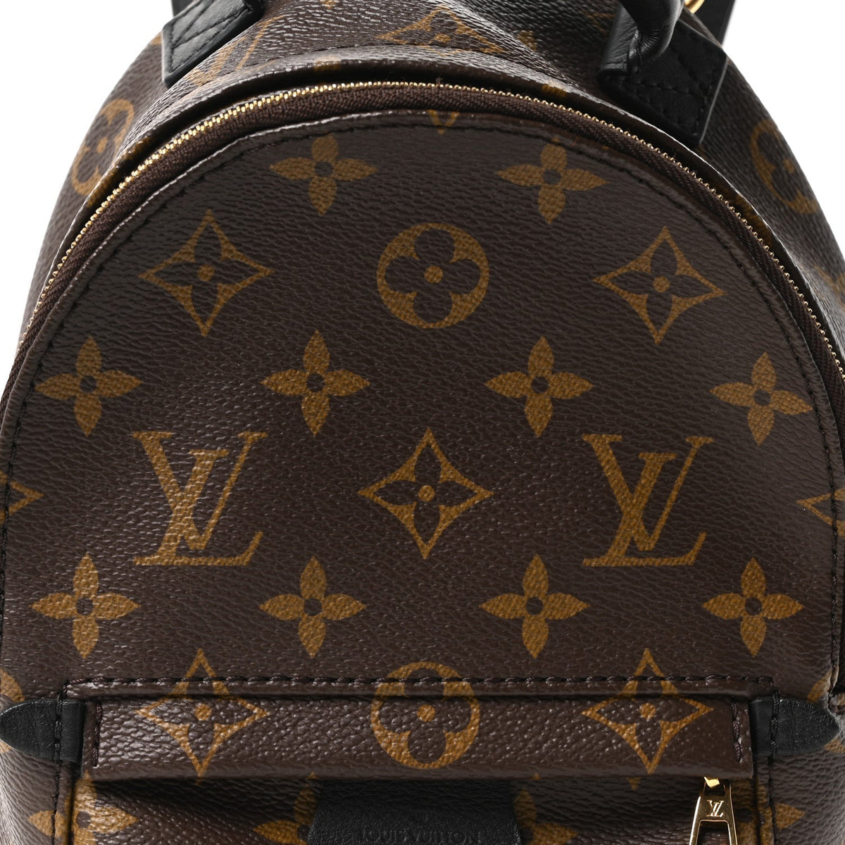 Monogram Palm Springs Backpack Mini