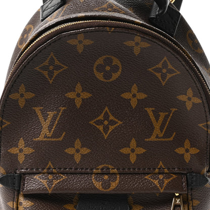 Monogram Palm Springs Backpack Mini