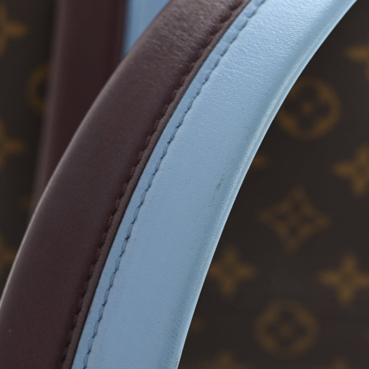 Monogram Cluny MM Blue Glacial