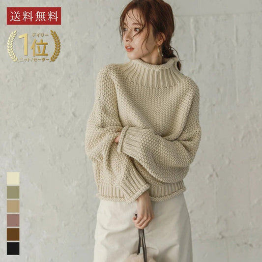 Long Sleeves Loose Solid Color High Neck Knitwear Sweater