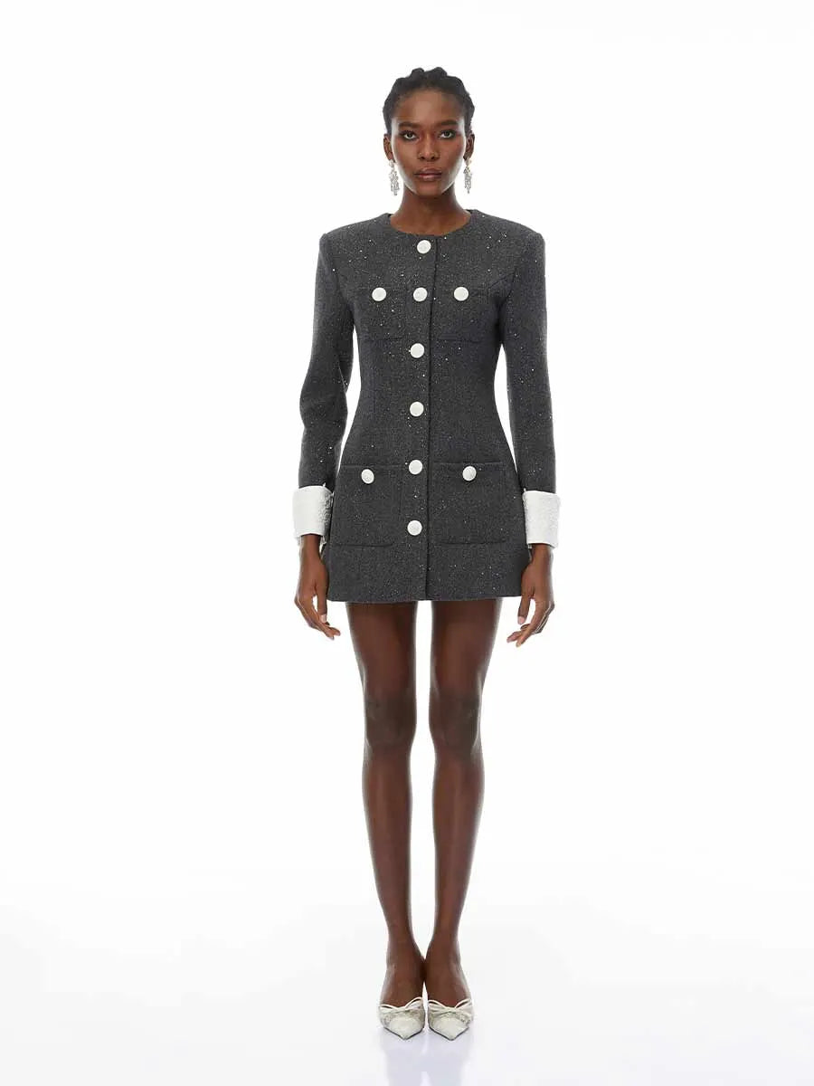 Delia Seuquined Tweed Mini Dress