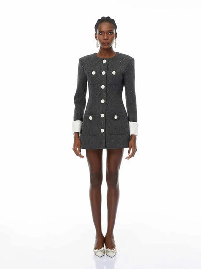 Delia Seuquined Tweed Mini Dress