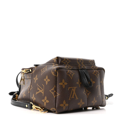 Monogram Palm Springs Backpack Mini