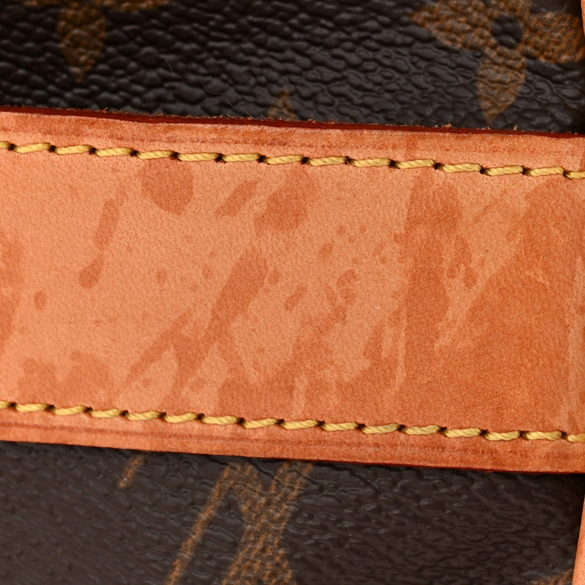 Monogram Carryall