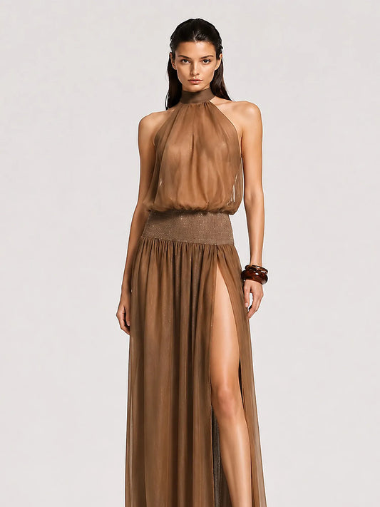 Beatrice Open-Back Halter-Neck Mesh Maxi Dress In Brown