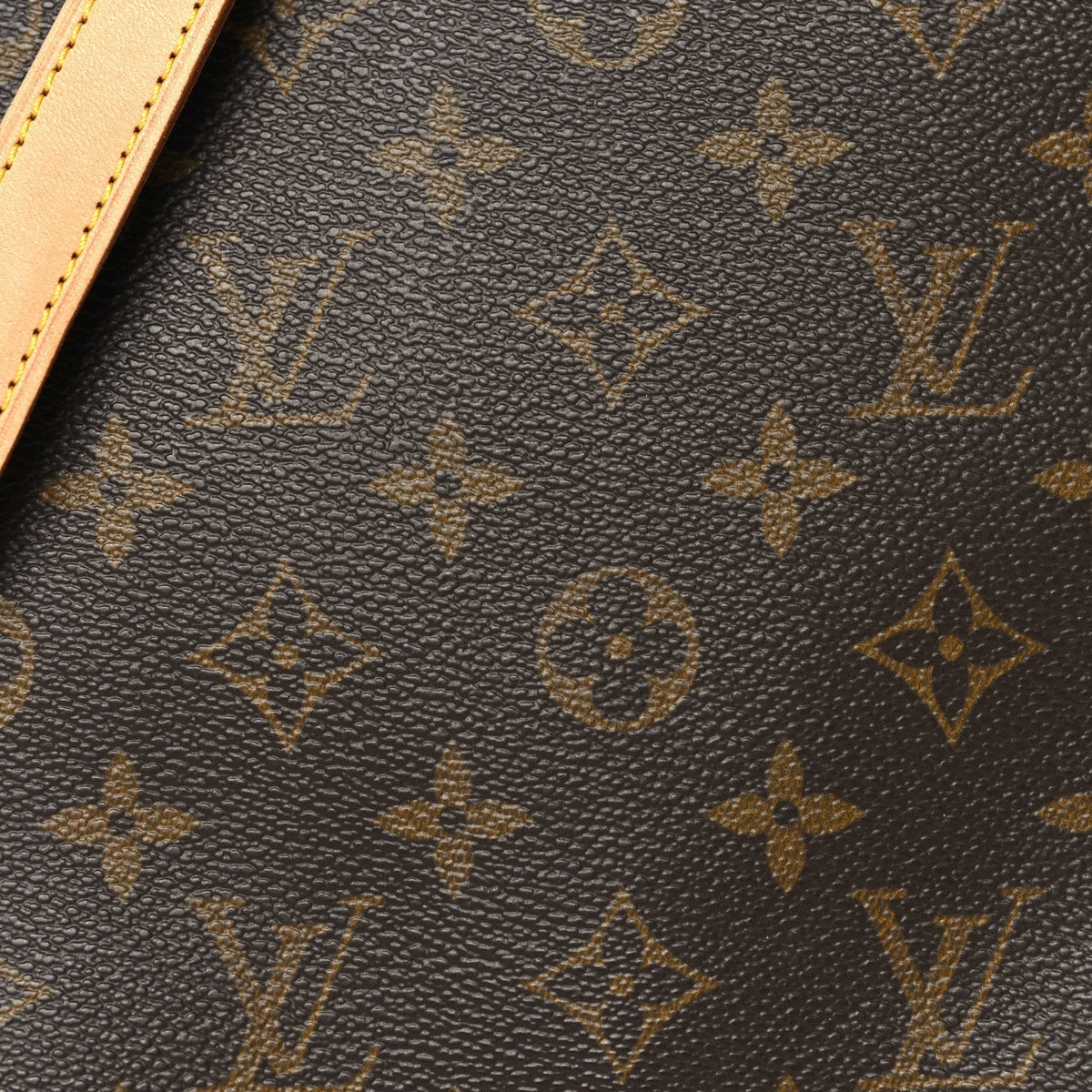 Monogram Musette Salsa