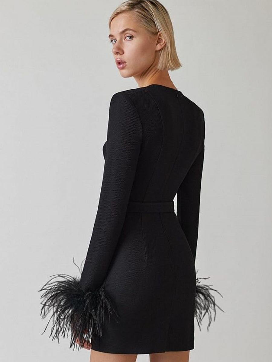 Zara Mini Dress