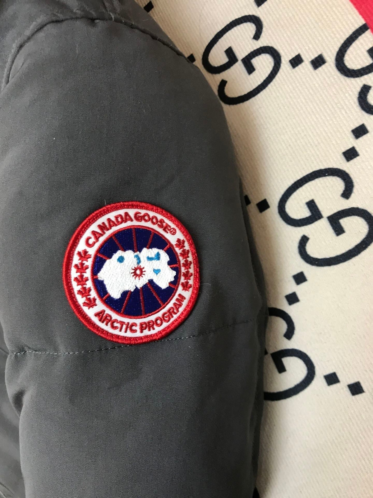 C. Goose Jacket Grey Polyester 0024