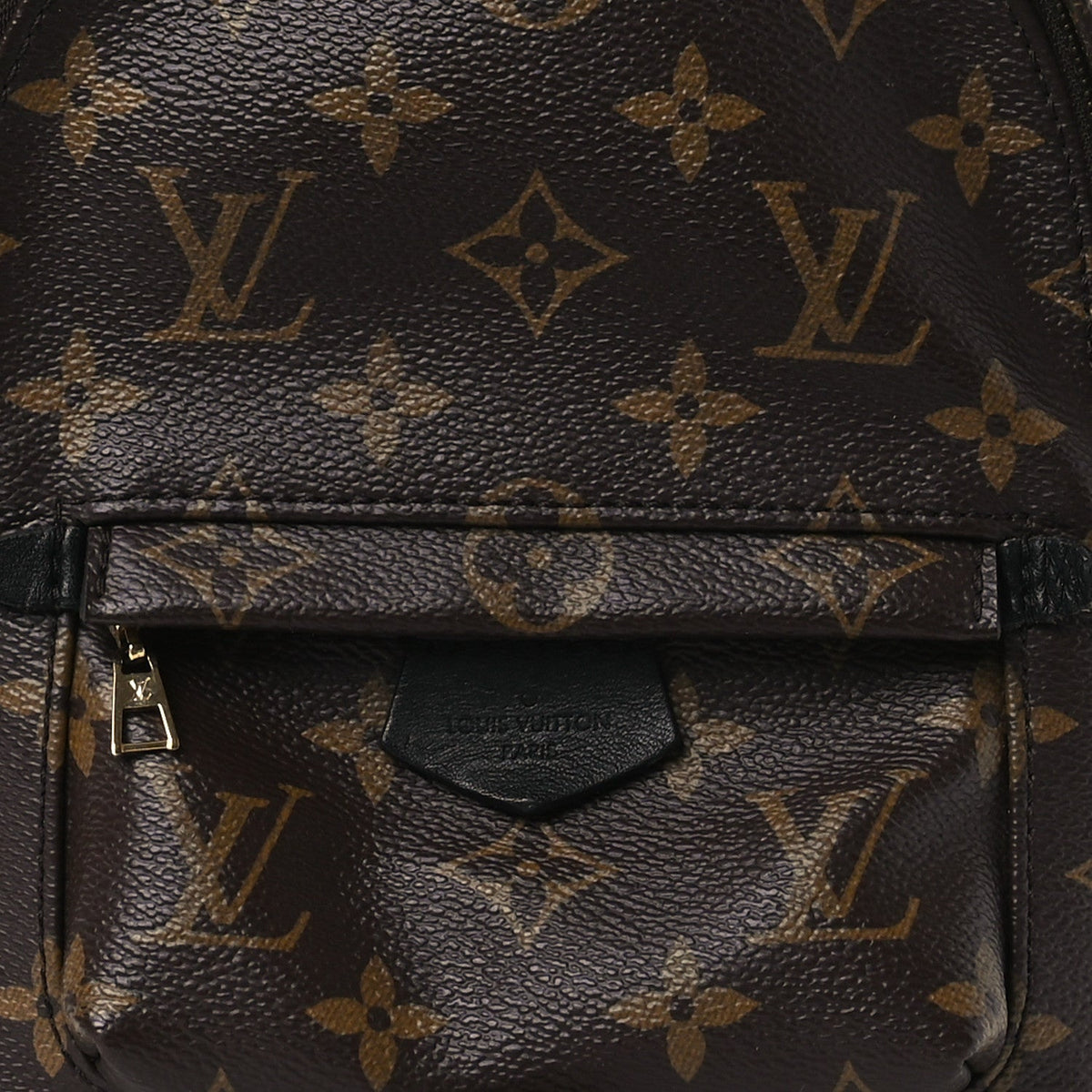 Monogram Palm Springs Backpack Mini