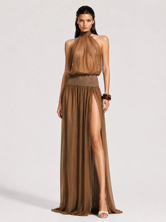 Beatrice Open-Back Halter-Neck Mesh Maxi Dress In Brown