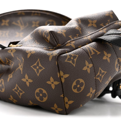 Monogram Palm Springs Backpack PM