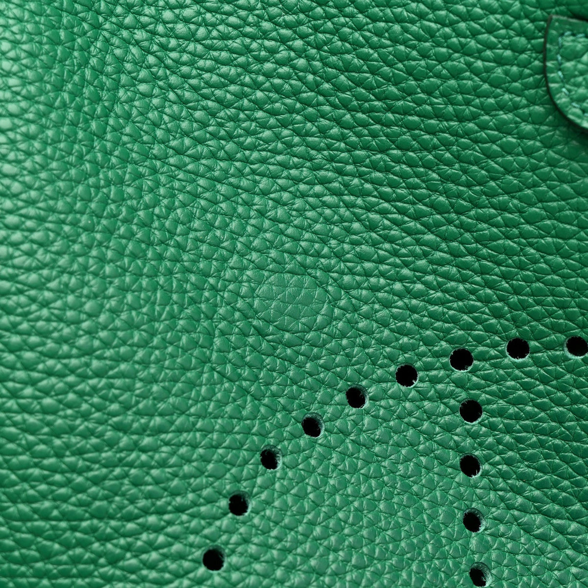 Taurillon Clemence Evelyne III PM Vert Vertigo