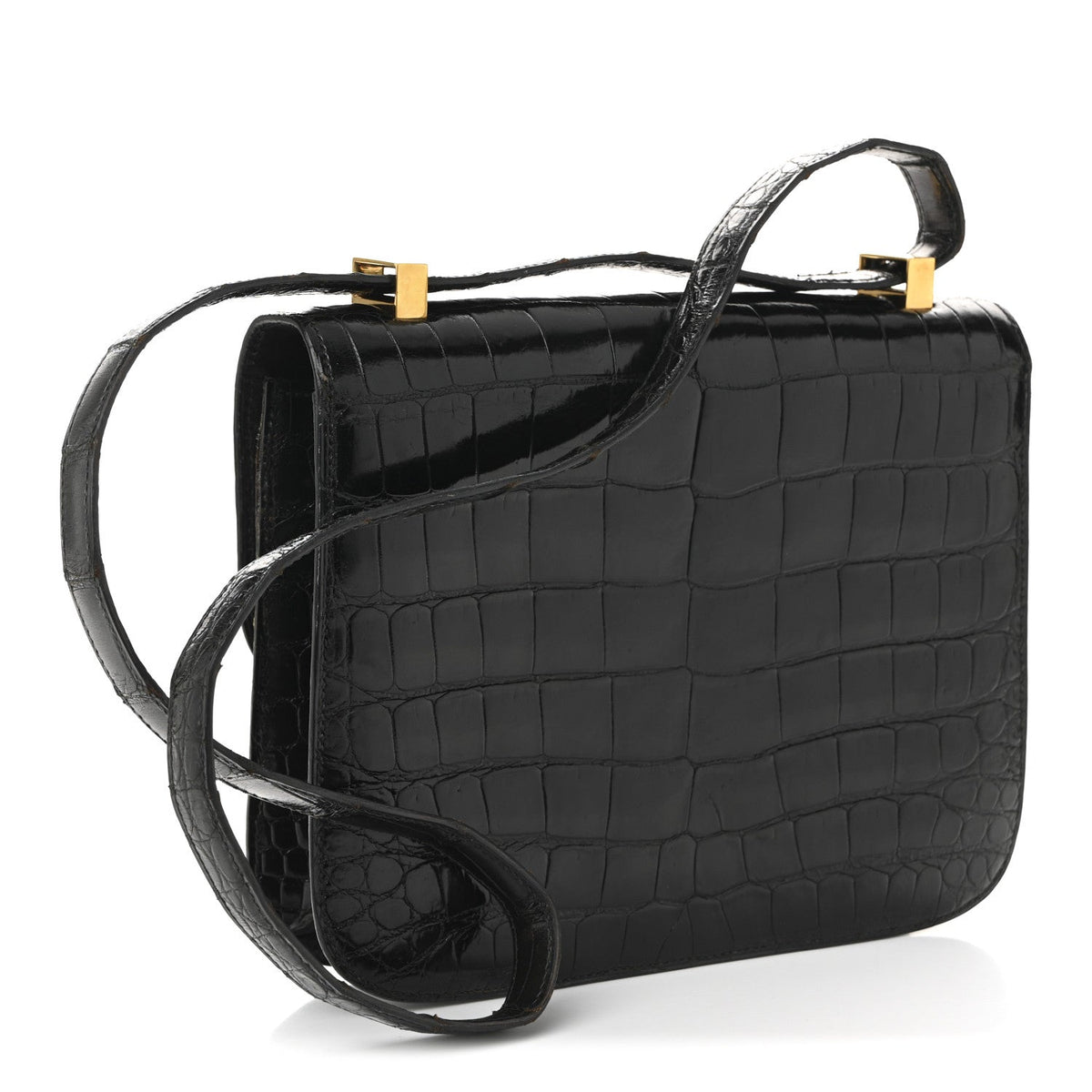 Shiny Caiman Crocodile Constance 23 Black