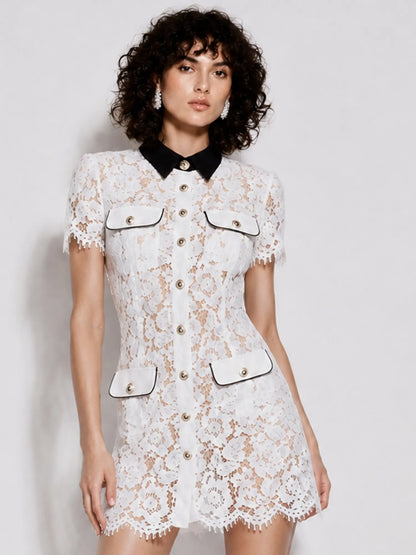Priscilla Color-block Collared Lace Mini Dress