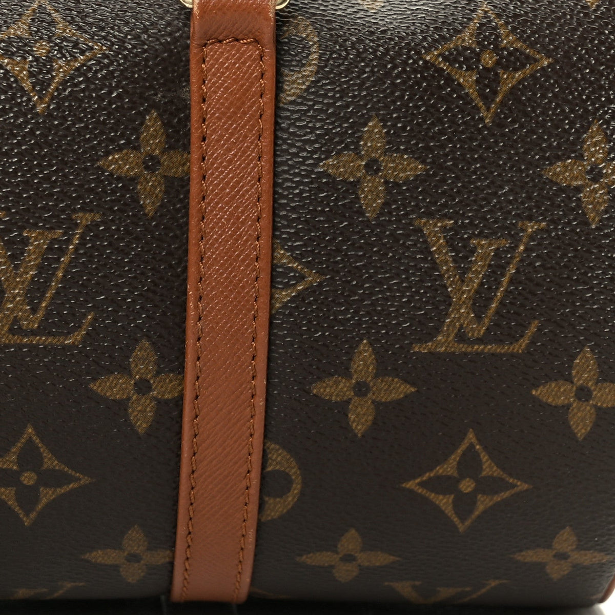 Monogram Papillon 30 with Companion
