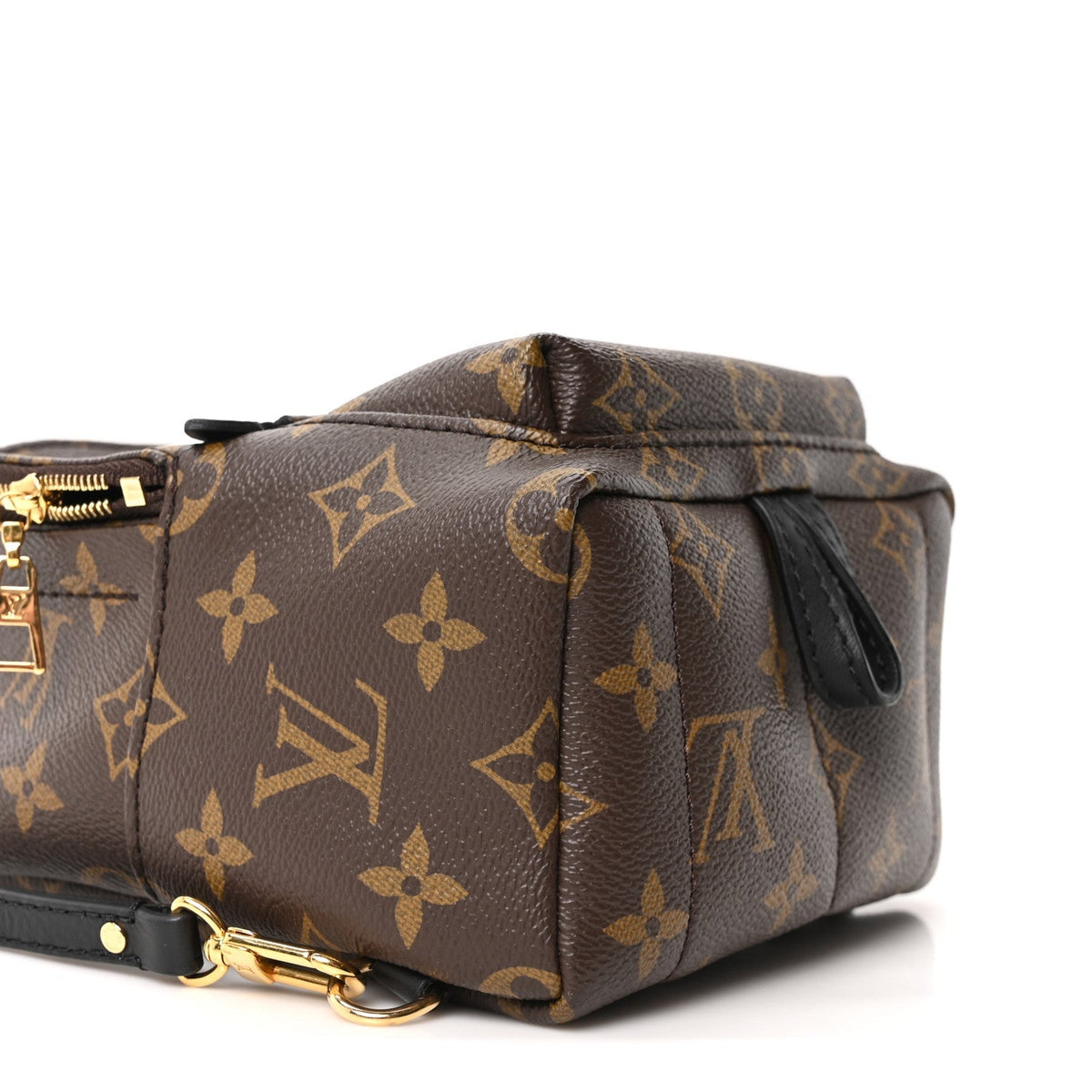 Monogram Palm Springs Backpack Mini