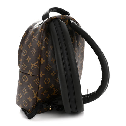 Monogram Palm Springs Backpack PM