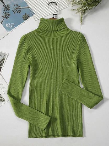 Casual Long Sleeves Skinny Solid Color High-Neck Sweater Tops