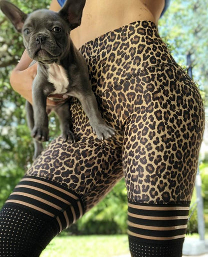 Spot Supply Cross-Border Amazon Explosions Leopard Texture Breathable Slim Yoga Pants Pants