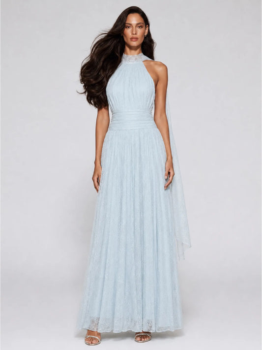 Hannah Flowy Mesh Backless Maxi Dress