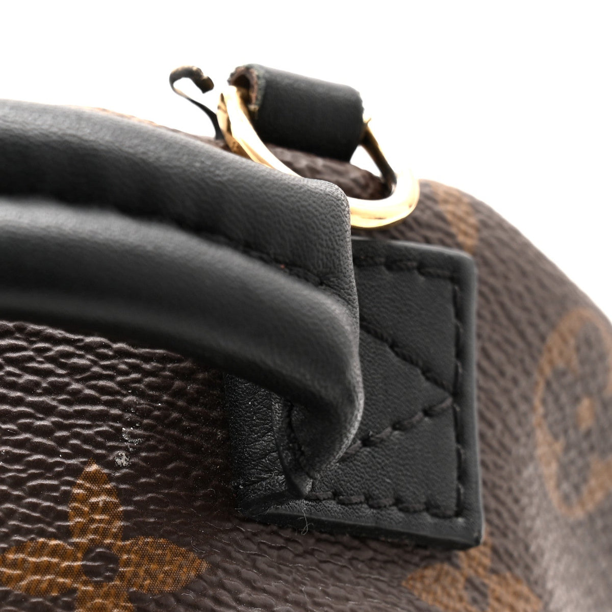 Monogram Palm Springs Backpack Mini
