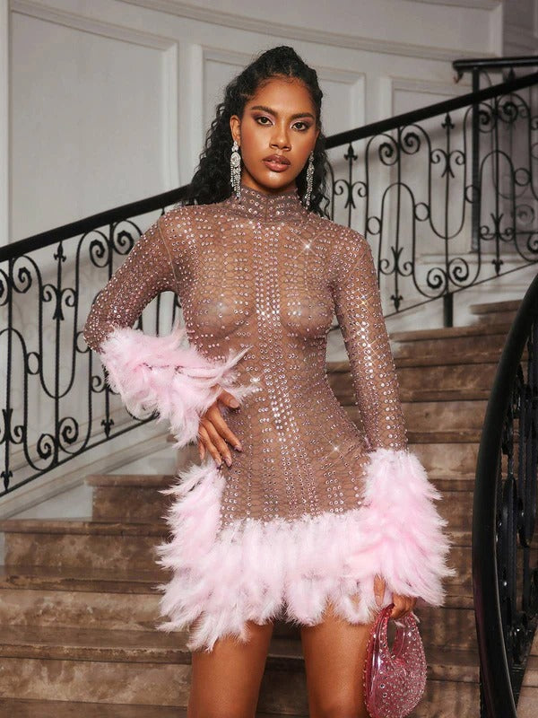 Braylene Rhinestone Feather Trimmed Mini Dress
