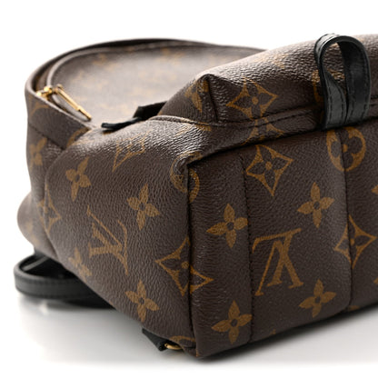 Monogram Palm Springs Backpack Mini