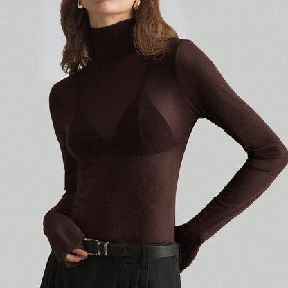 Mesh High Neck Long Sleeve Sheer Blouse