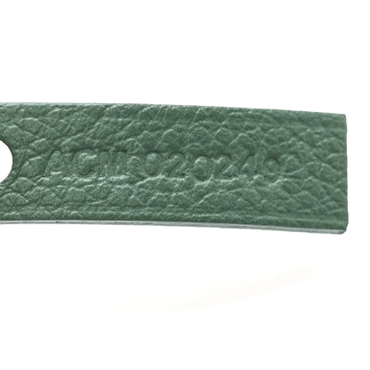 Goyardine Saint Louis PM Green
