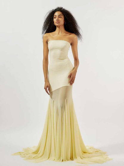 Gracelyn Ice Silk Mesh Strapless Maxi Dress
