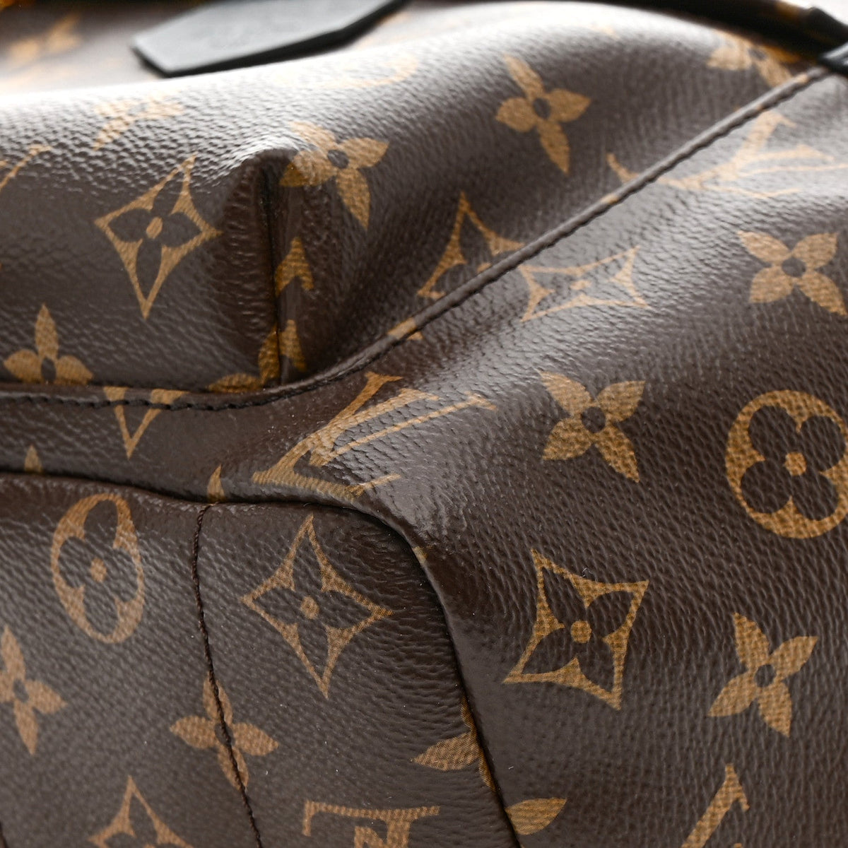 Monogram Palm Springs Backpack MM