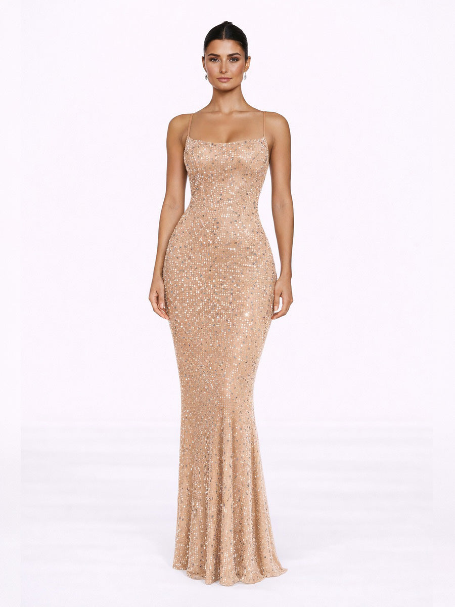 Alana Sheer Embellished Maxi Dress