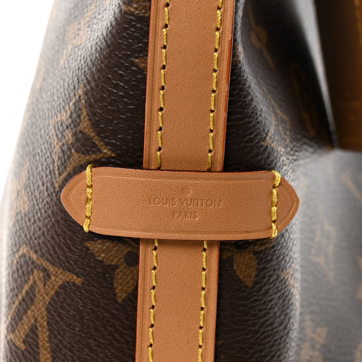 Monogram Carryall PM
