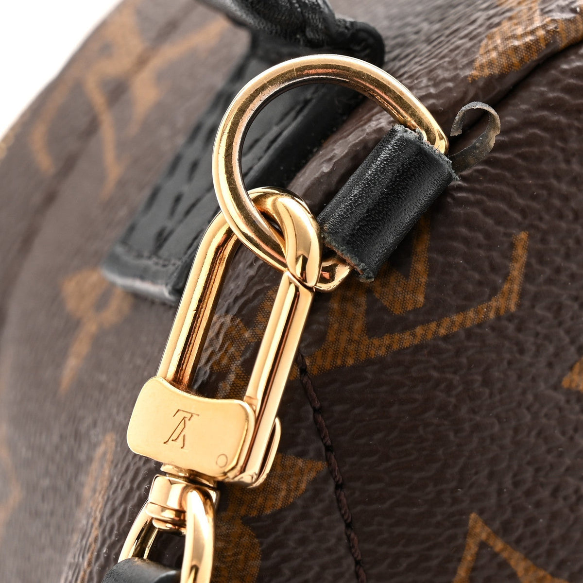 Monogram Palm Springs Backpack Mini