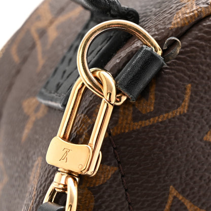 Monogram Palm Springs Backpack Mini