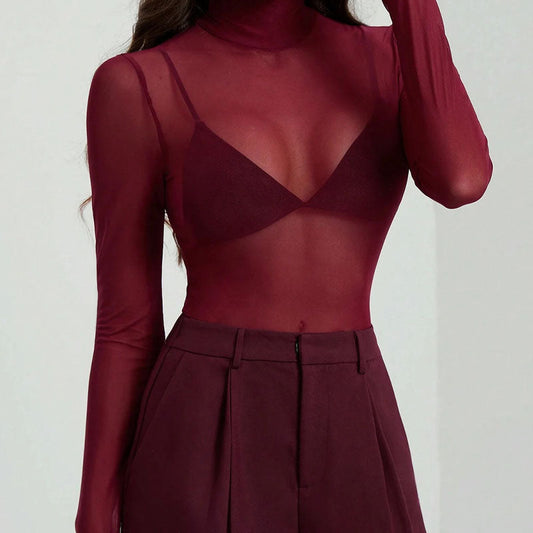 Mesh High Neck Long Sleeve Sheer Blouse