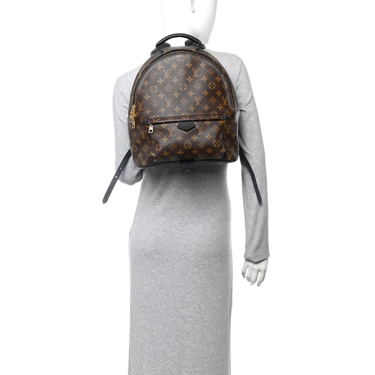 Monogram Palm Springs Backpack MM