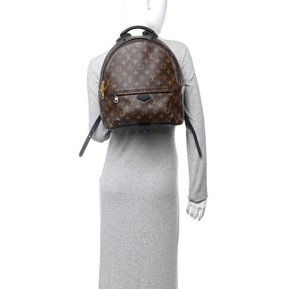 Monogram Palm Springs Backpack MM