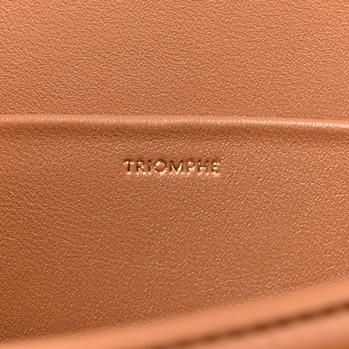 Shiny Calfskin Medium Triomphe Bronze