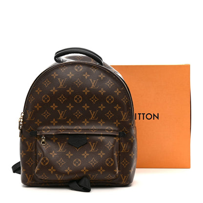 Monogram Palm Springs Backpack MM