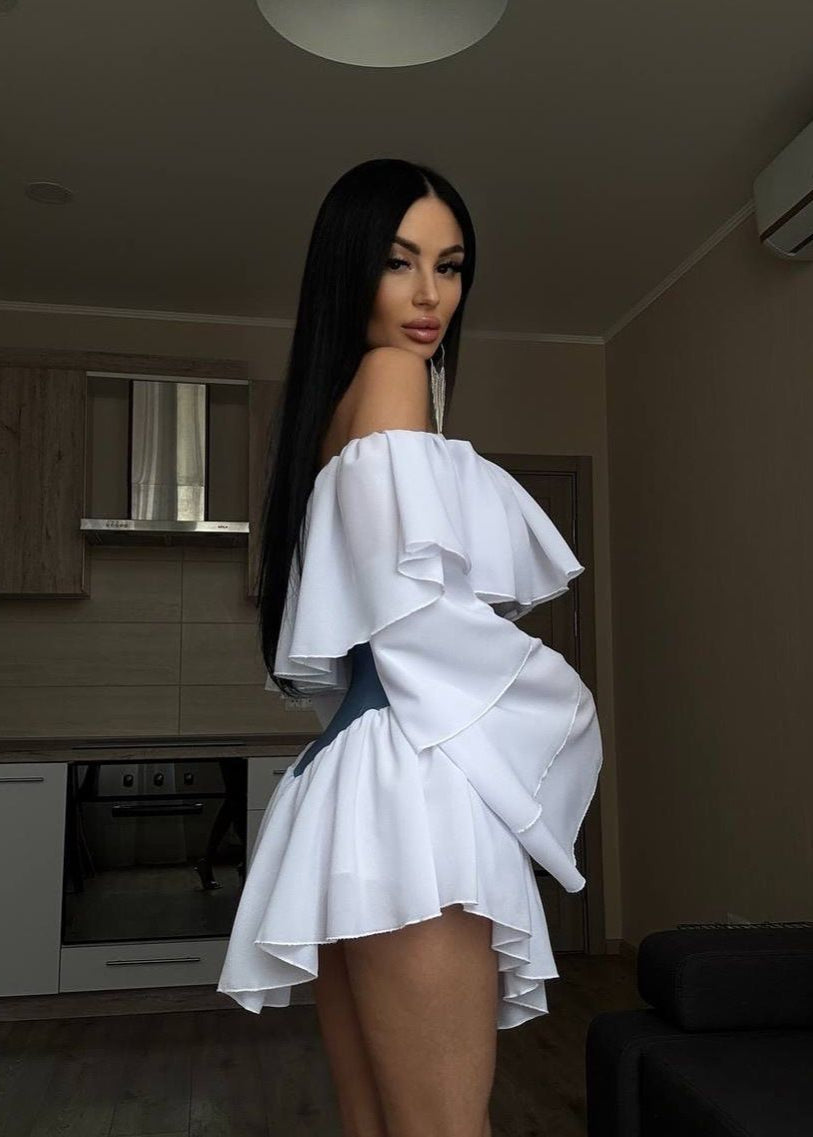 Off Shoulder Ruffle Sleeve Two Tone Mini Dress