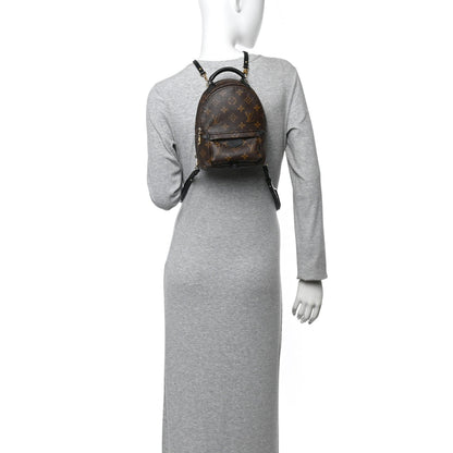 Monogram Palm Springs Backpack Mini