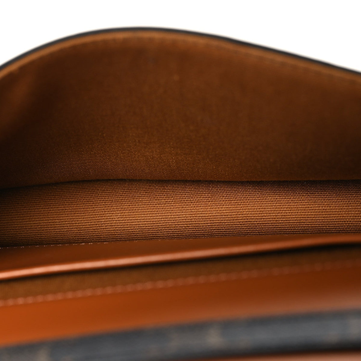 Triomphe Canvas Multipochette Tan