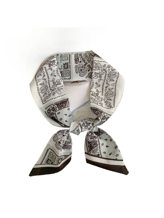 Haila - 33" Vintage Paisley Slim Scarf - French Elegance