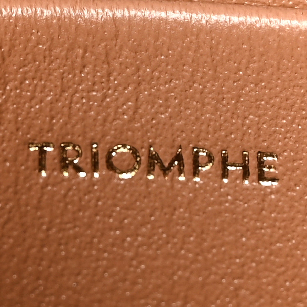 Shiny Calfskin Teen Triomphe Bronze
