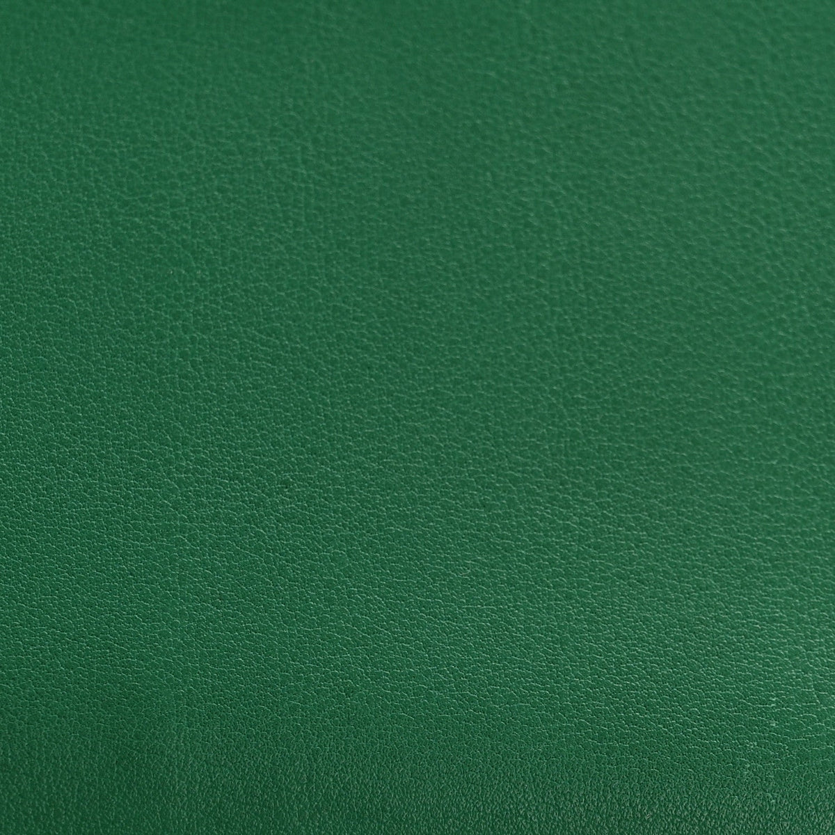 Swift Birkin 25 Vert Vertigo