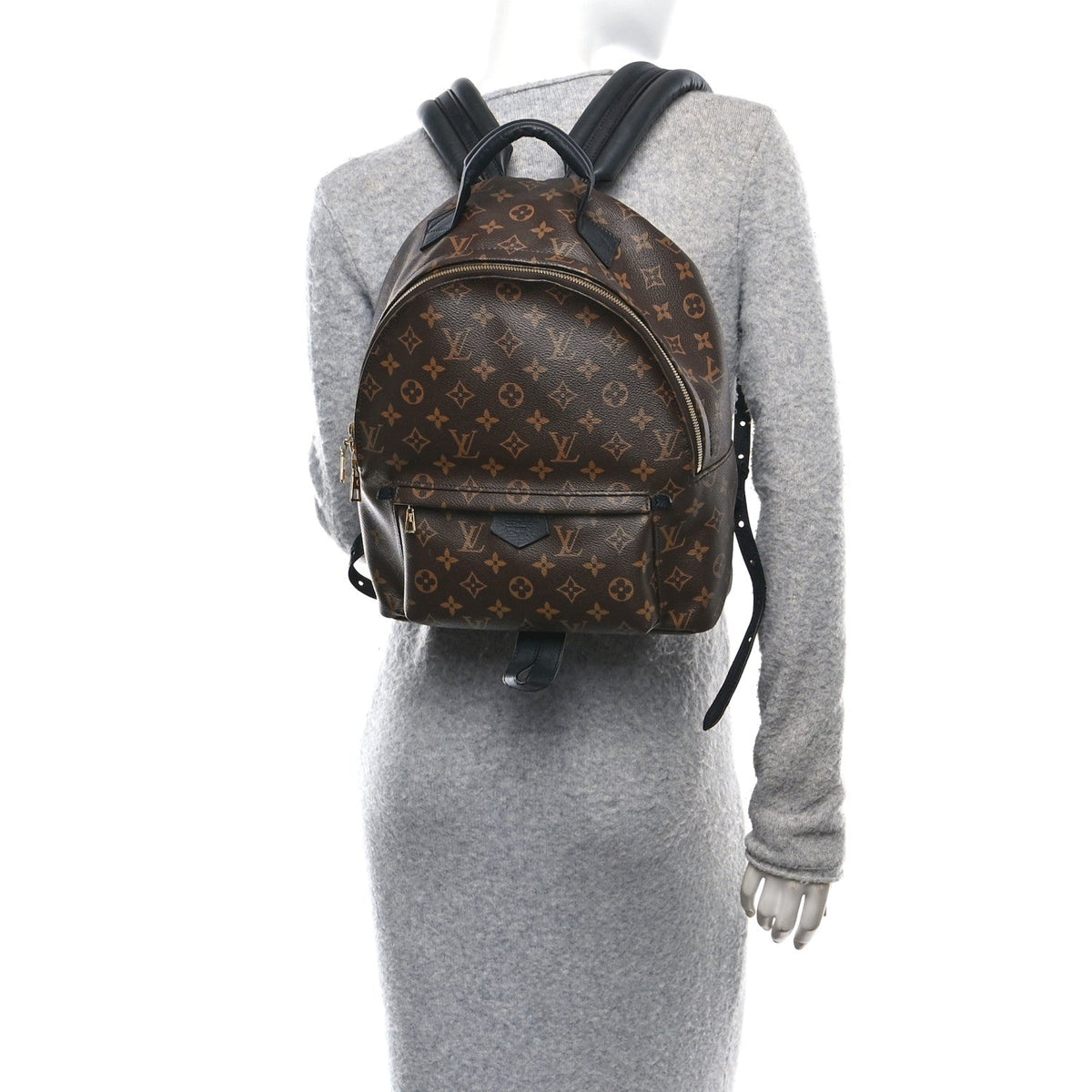 Monogram Palm Springs Backpack MM