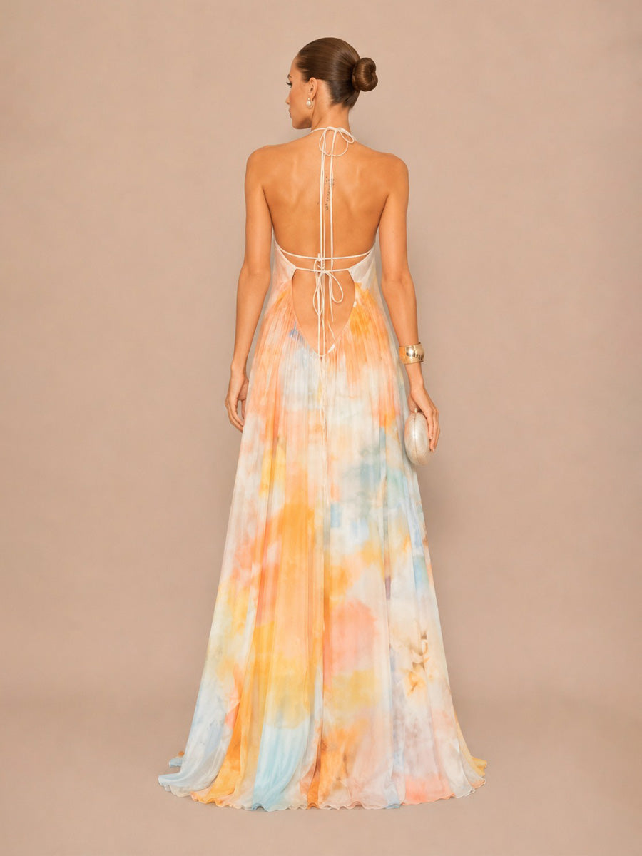 Isadora Printed Mesh Halter-Neck Open-Back Maxi Dress