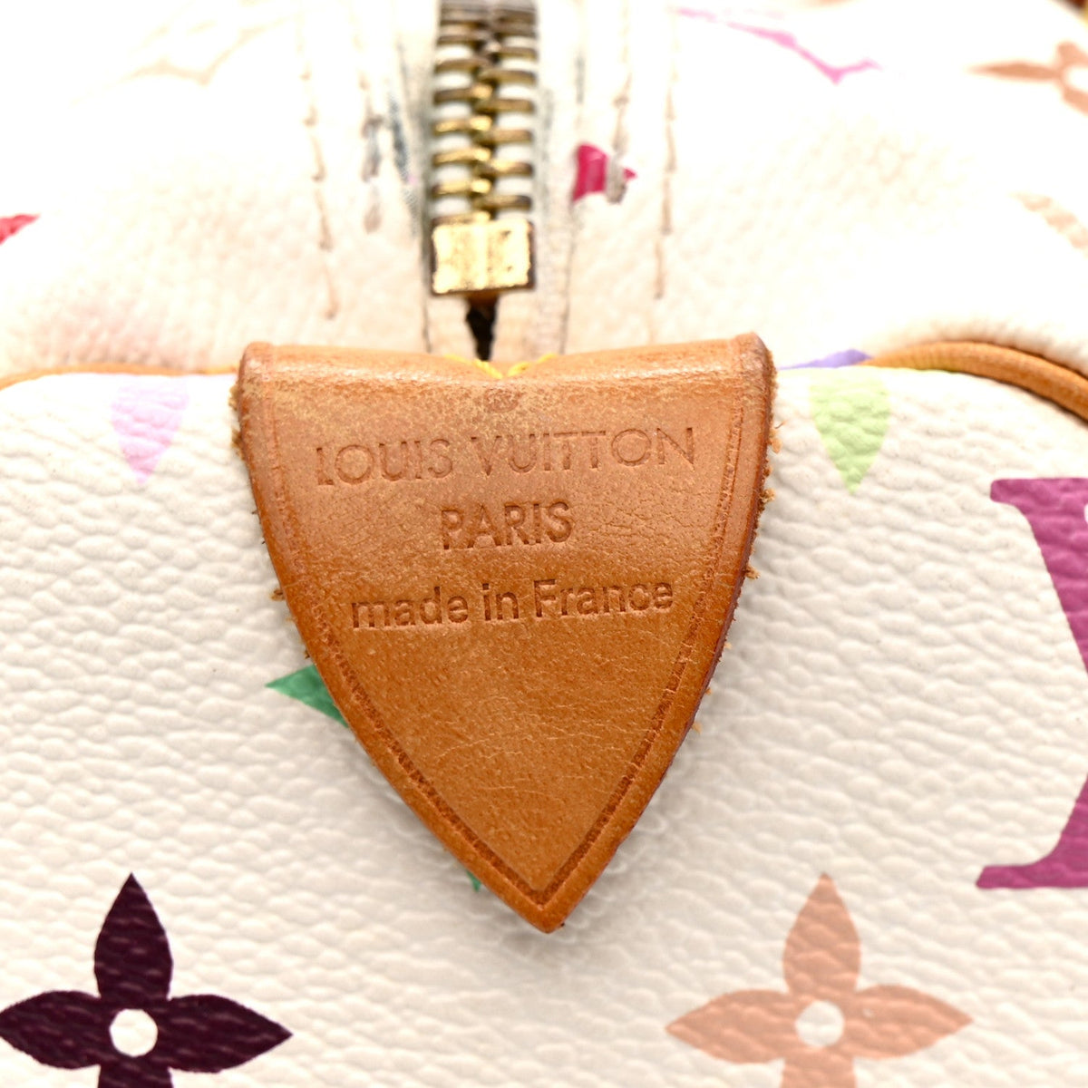 Monogram Multicolor Speedy 30 White
